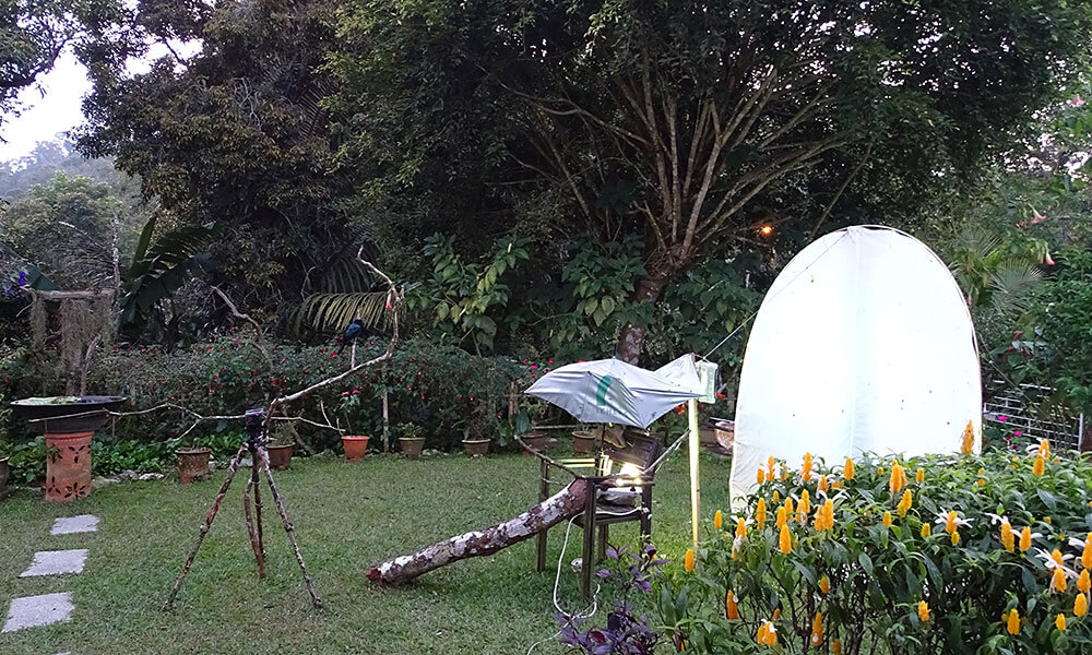 Leinwand im Garten