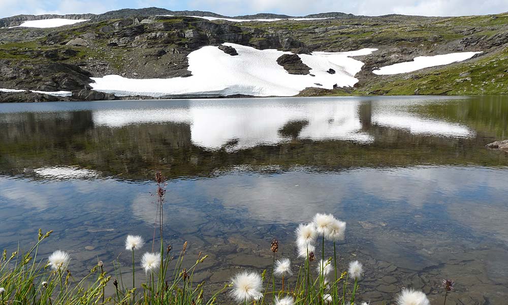 Eis am See in Norwegen