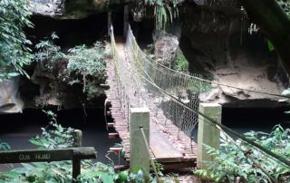 Höhleneingang im Urwald