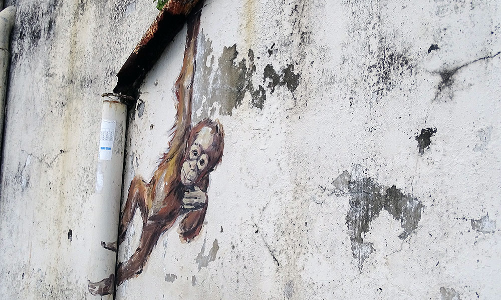 Streetart: Orang-Utan an einer Regenrinne