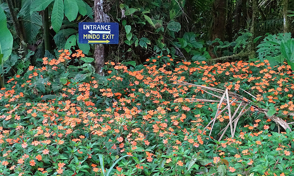 Schild vor Blumenwiese