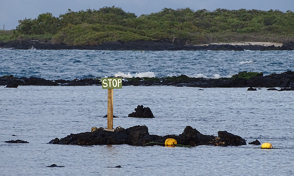 Stopschild auf einem Felsen im Meer