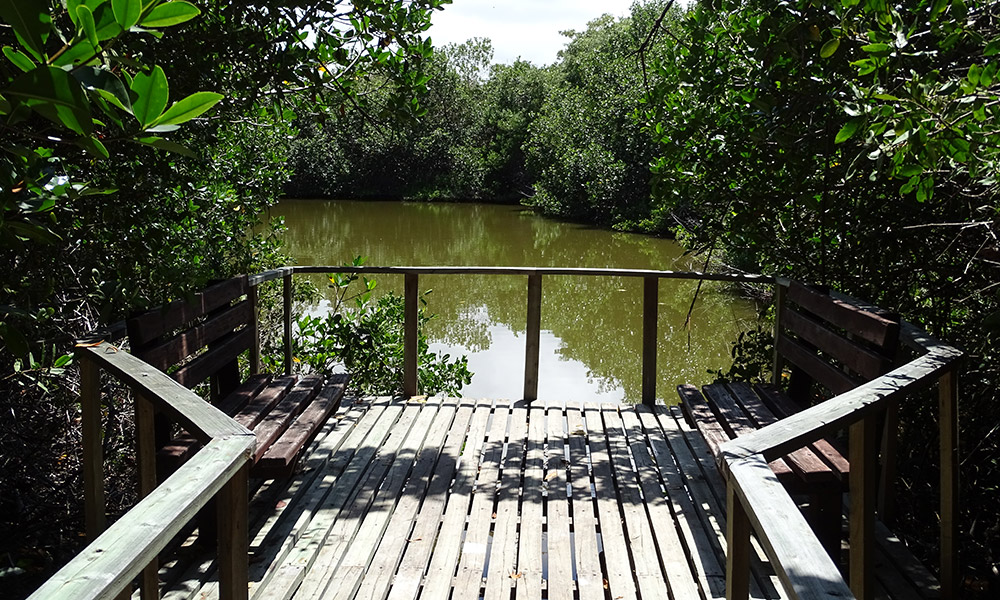 Holzbänke am Teich