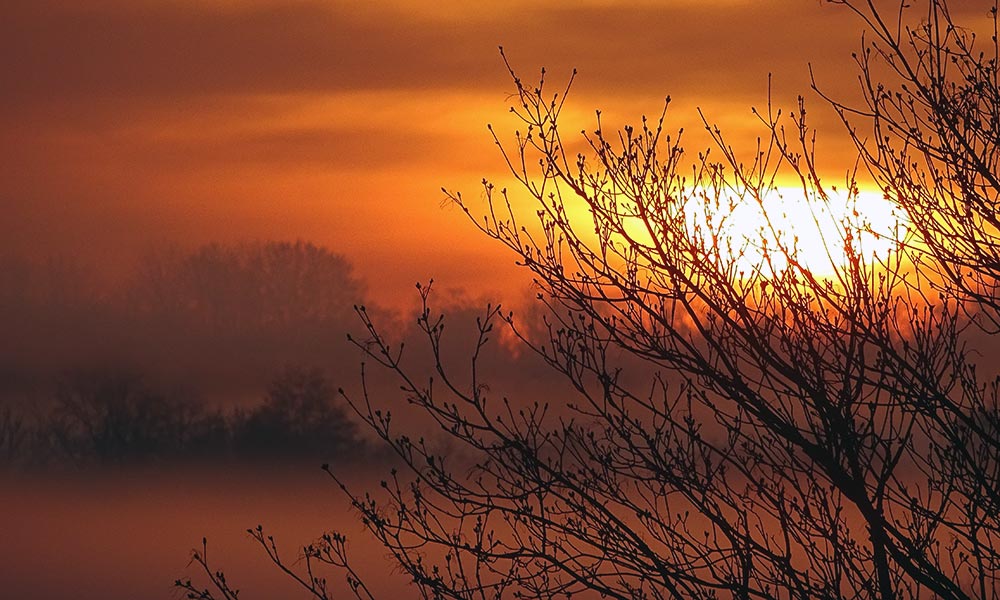 Sonnenaufgang über dem Nebel