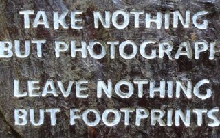 Spruch am Baum: Take nothing but photographs, leave nothing but footprints