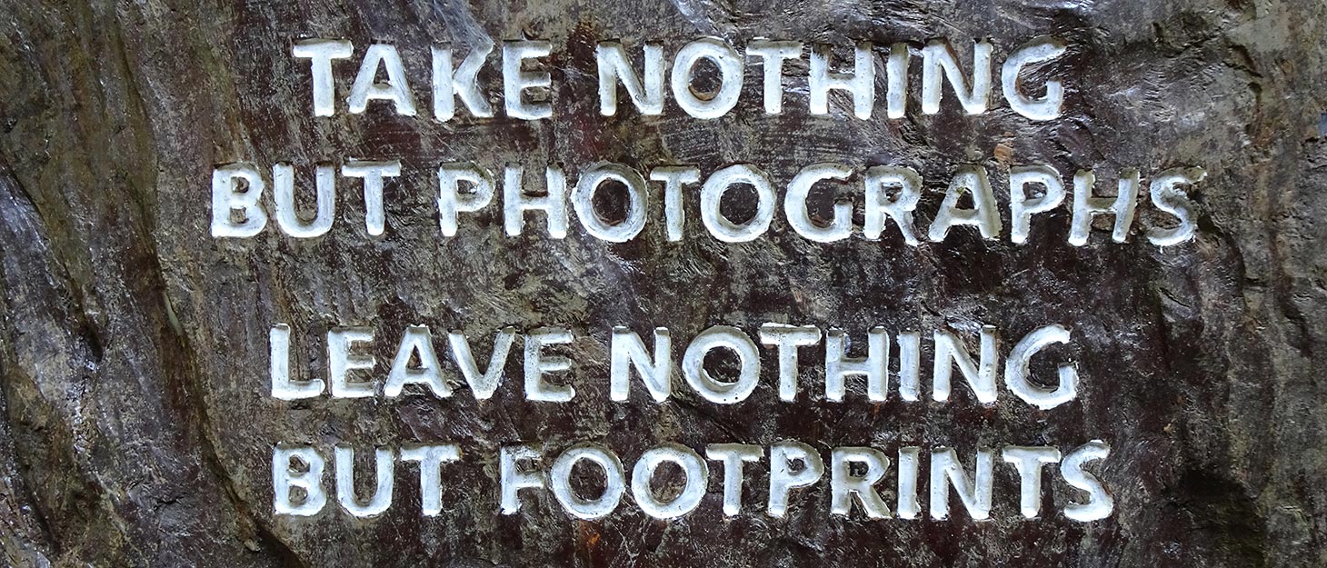 Spruch am Baum: Take nothing but photographs, leave nothing but footprints