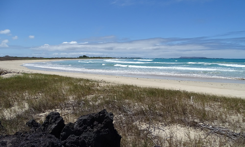 Strand auf Isabela mit blauem Himmel und Wasser