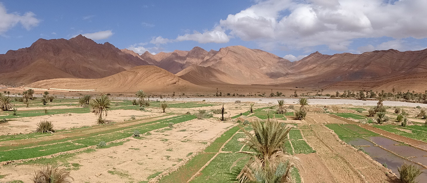 antiatlas Berge hinter einem Palmenhain