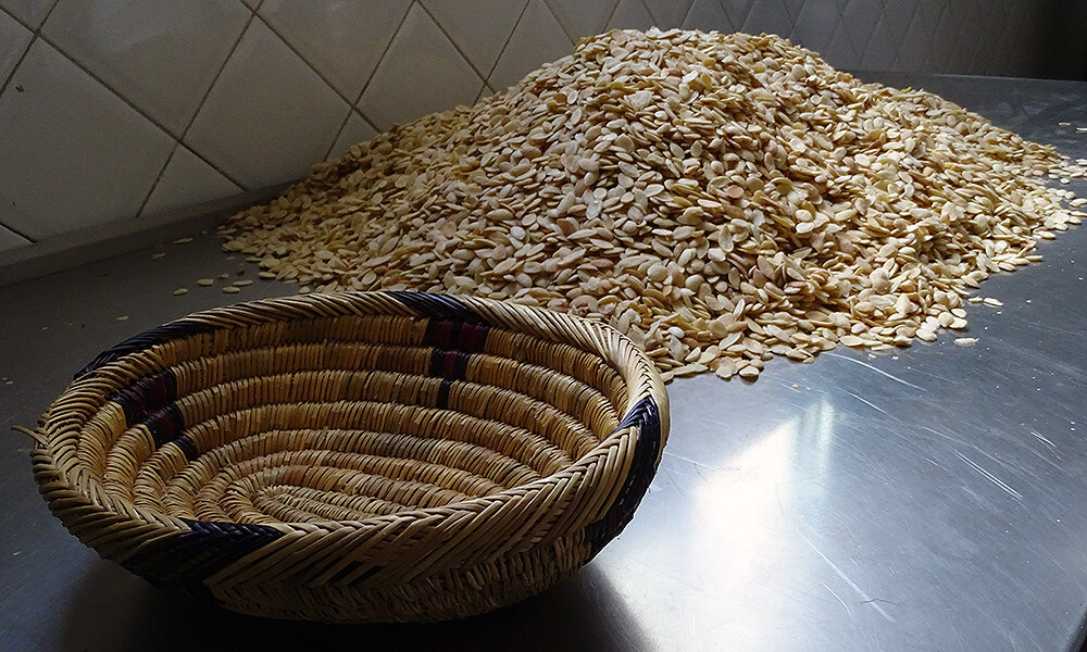 Ausgelöste Arganfrüchte neben einem Korb