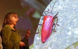 Sabine vor Leinwand mit Bild vom Käfer