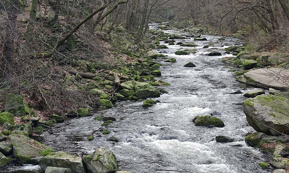 Fluss mit Felsen