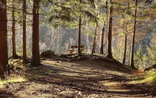 Rastbank bei Wanderungen im Harz