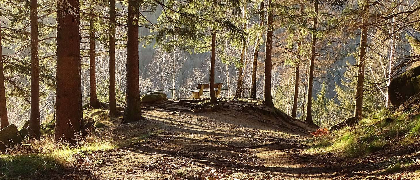 Rastbank bei Wanderungen im Harz