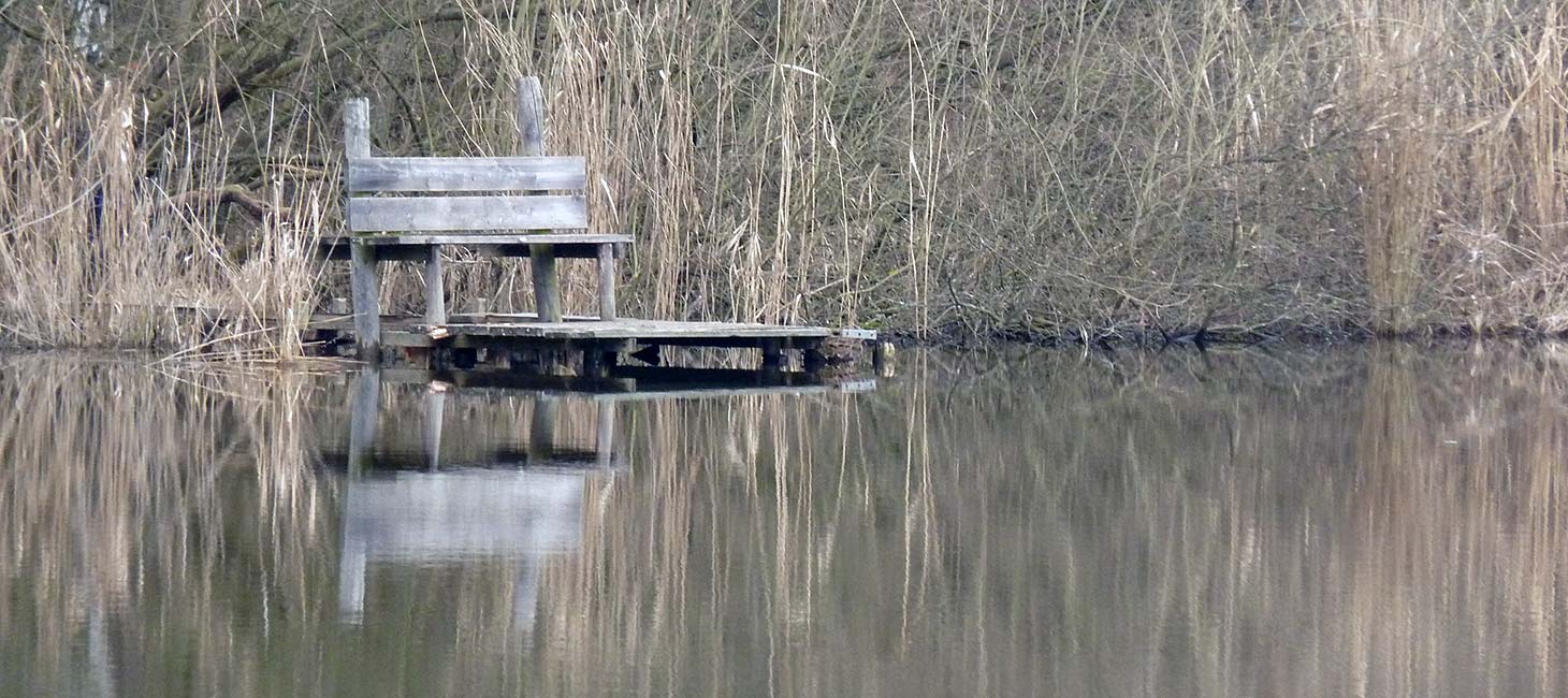 Bank am Ufer eines Sees