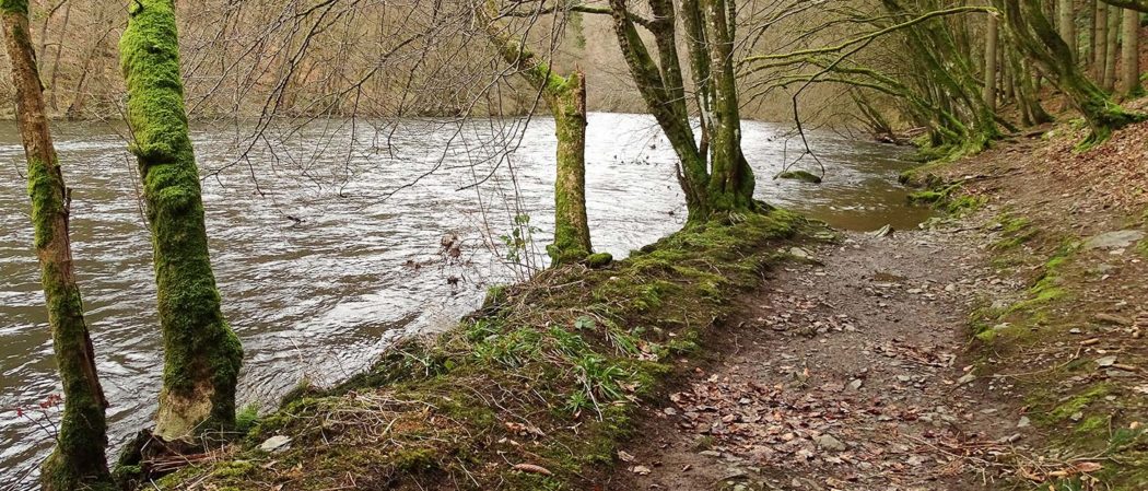 Weg am Fluss Ourthe entlang