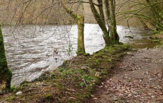 Weg am Fluss Ourthe entlang