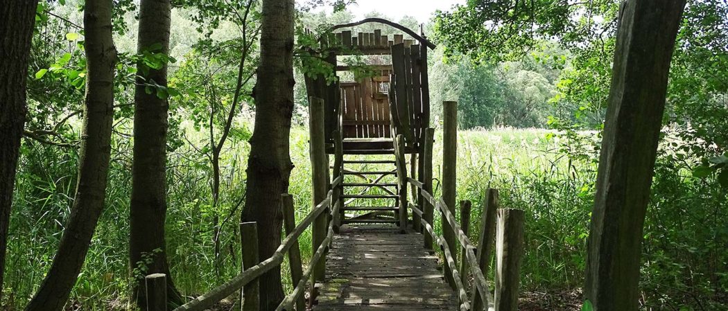 Vogelbeobachtungsturm in Ostdeutschland