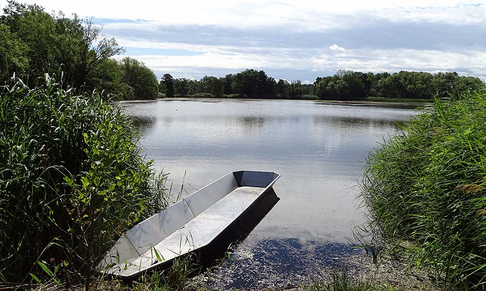 Boot am Teich