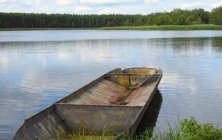 Boot am Teich im Biosphärenreservat Oberlausitzer Heide- und Teichlandschaft