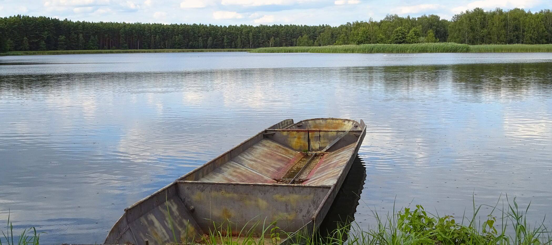 Boot am Teich im Biosphärenreservat Oberlausitzer Heide- und Teichlandschaft