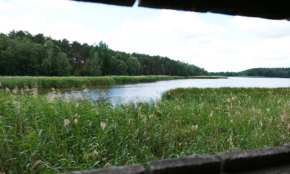 Blick über den Sumperteich