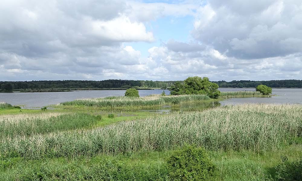 Blick über den Tauerteich