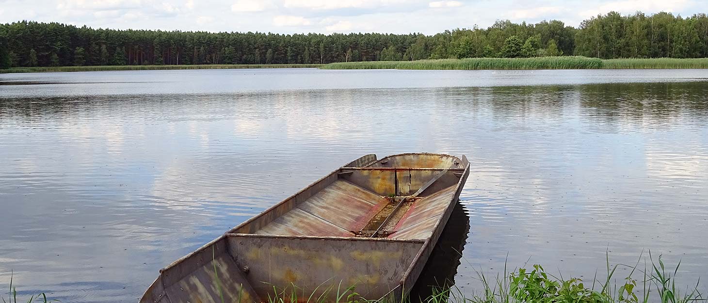 wochusteich Boot am Teich im Biosphärenreservat Oberlausitzer Heide- und Teichlandschaft