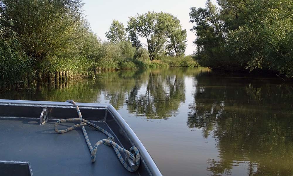 Boot auf einem kleinen Fluss im Nationalpark De Biesbosch