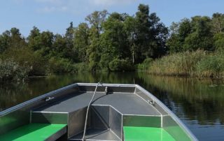 Boot auf Wasser im Nationalpark de Biesbosch