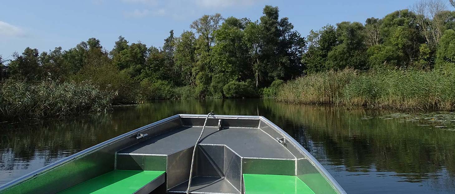 Boot auf Wasser im Nationalpark de Biesbosch