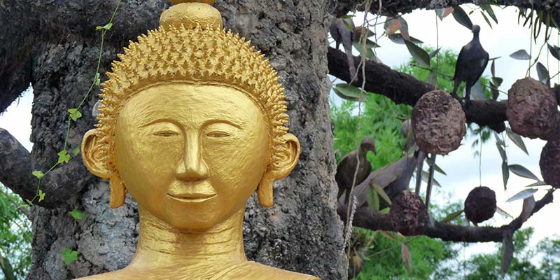 buddha-2