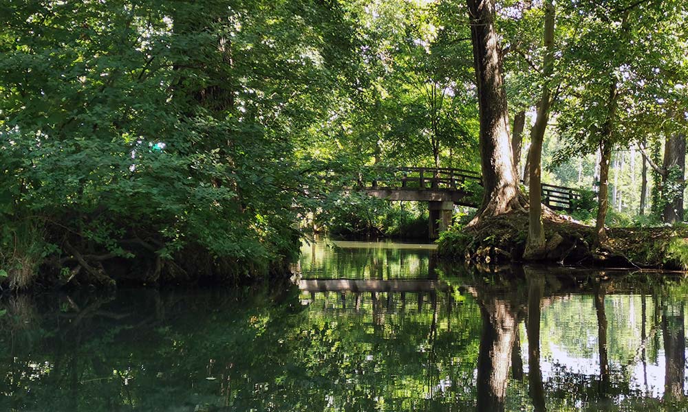 Brücke über Fließ im Spreewald