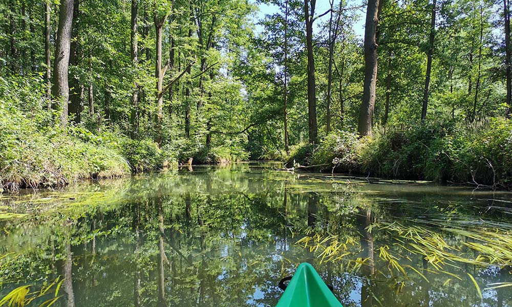 Kanu auf Fluss im Wald