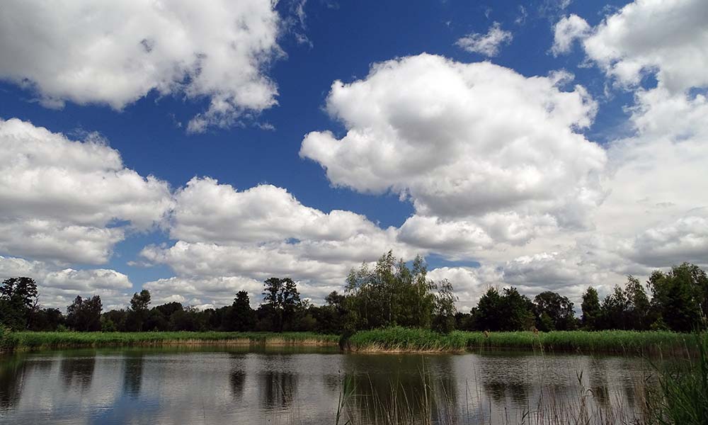 Wolen spiegeln sich im Teich
