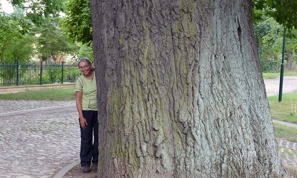 Frau neben riesiger Eiche