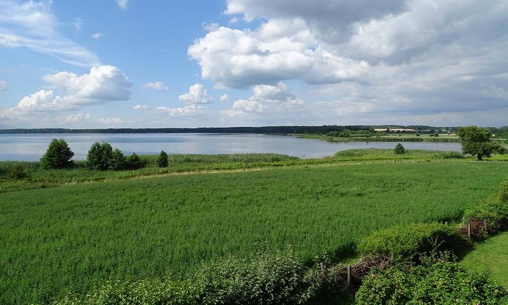 Blick über den Grimnitzsee