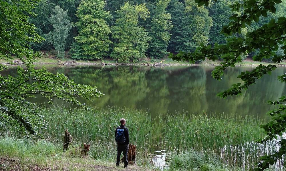 Mann steht am See im Wald