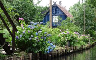 Blaues Blockhaus am Wasser im Spreewald