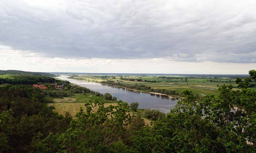 Blick in die Niedersächsische Elbtalaue