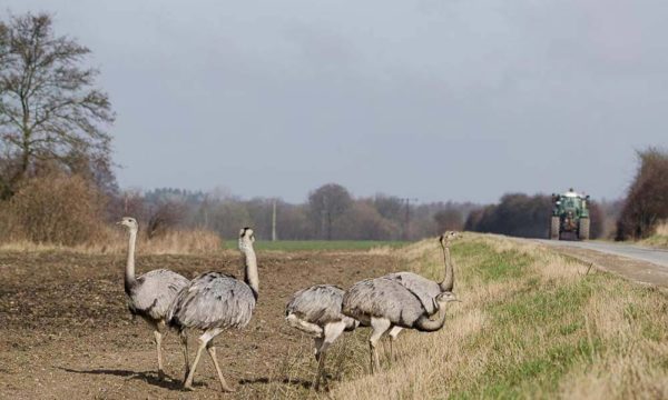 Die 16 Biosphärenreservate in Deutschland