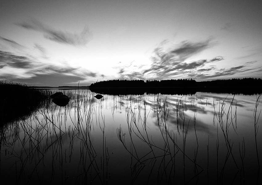 Insel im See in schwarzweiß