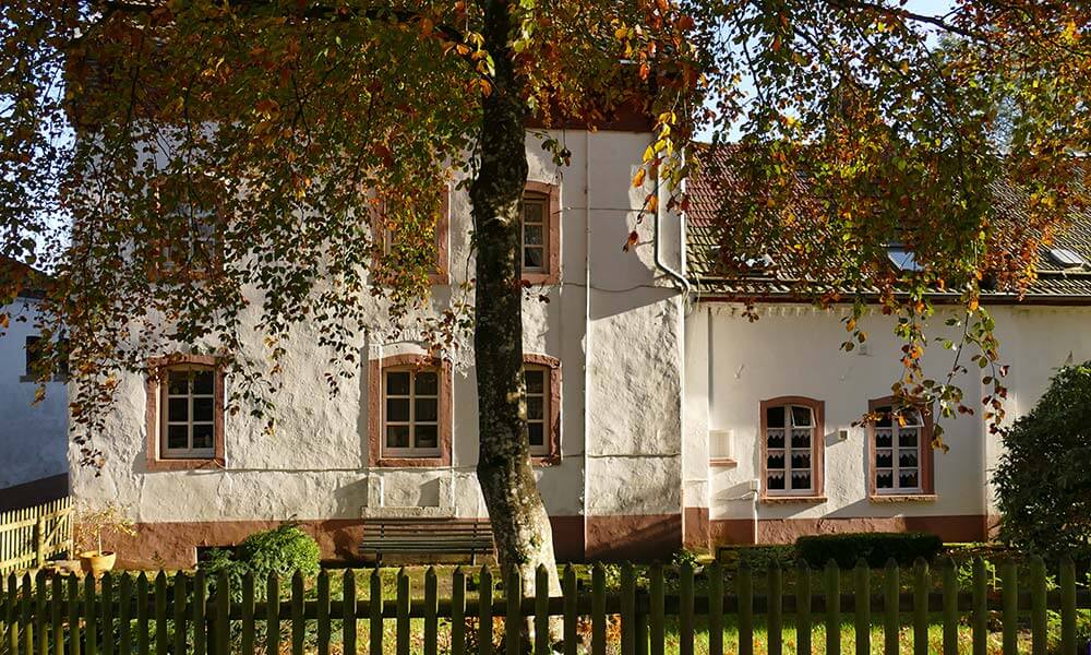 Altes Haus hinter einem Baum