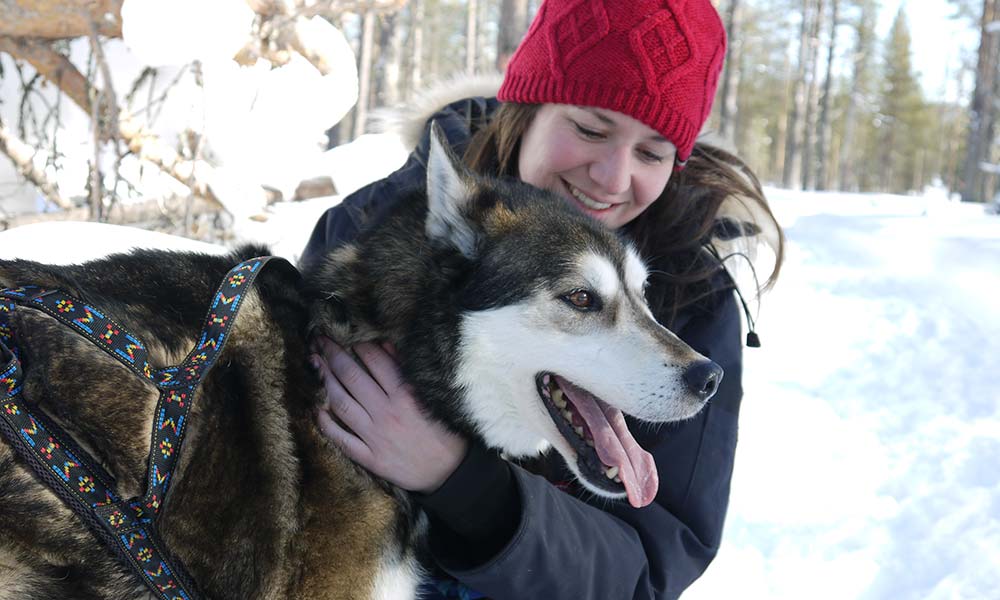 Schlittenhund und Frau im Schnee