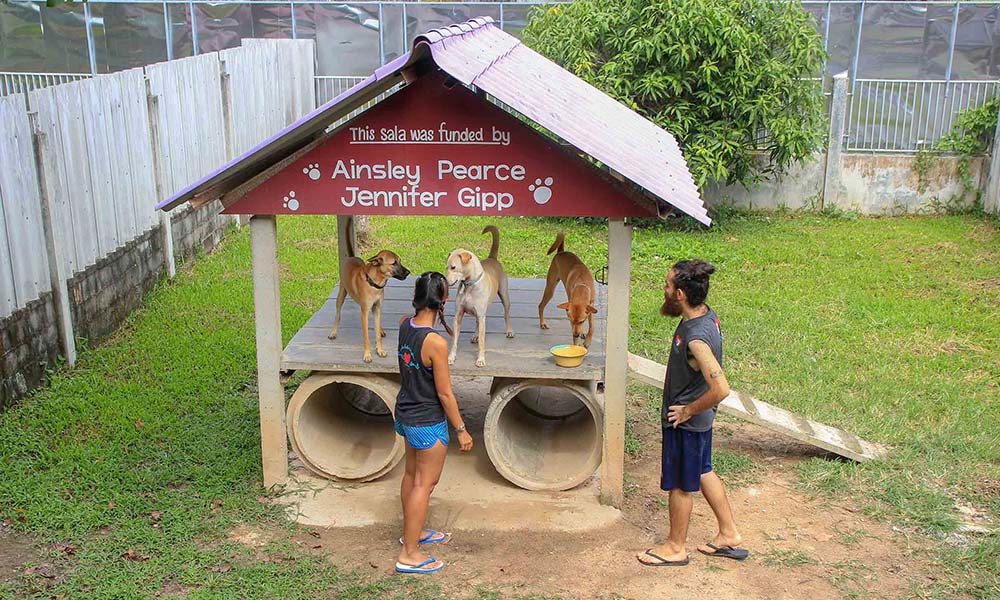 Zwei Menschen auf Hundespielplatz