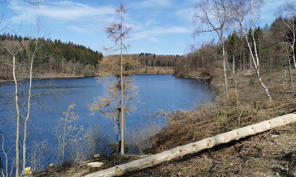 Blick über Seitenarm der Genkeltalsperre.