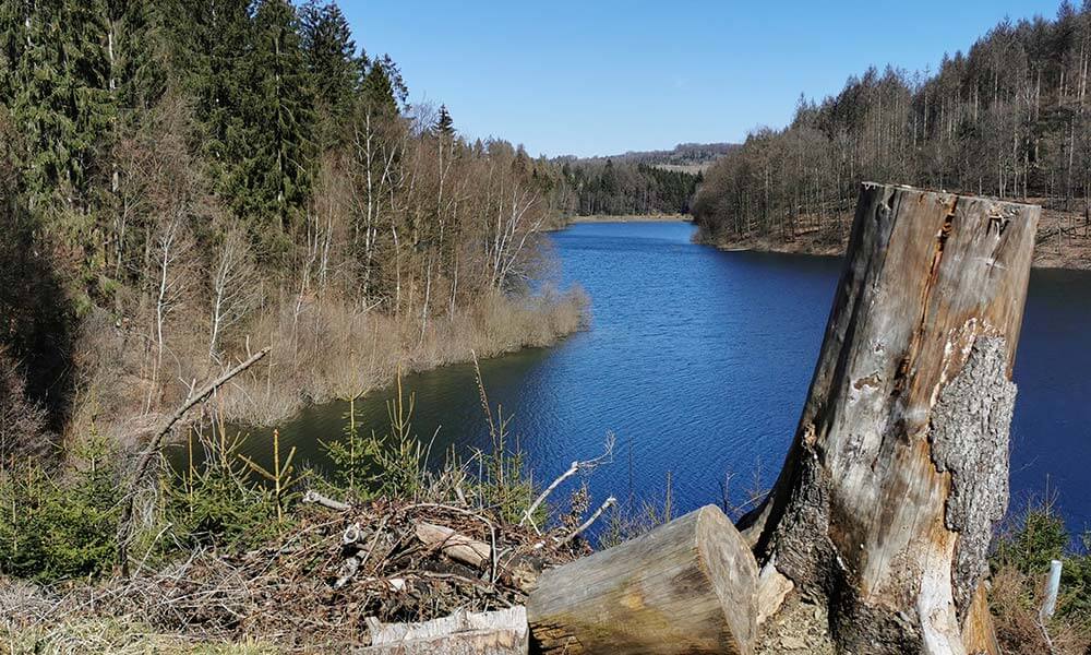 Blick auf See mit Baumstumpf im Vordergrund