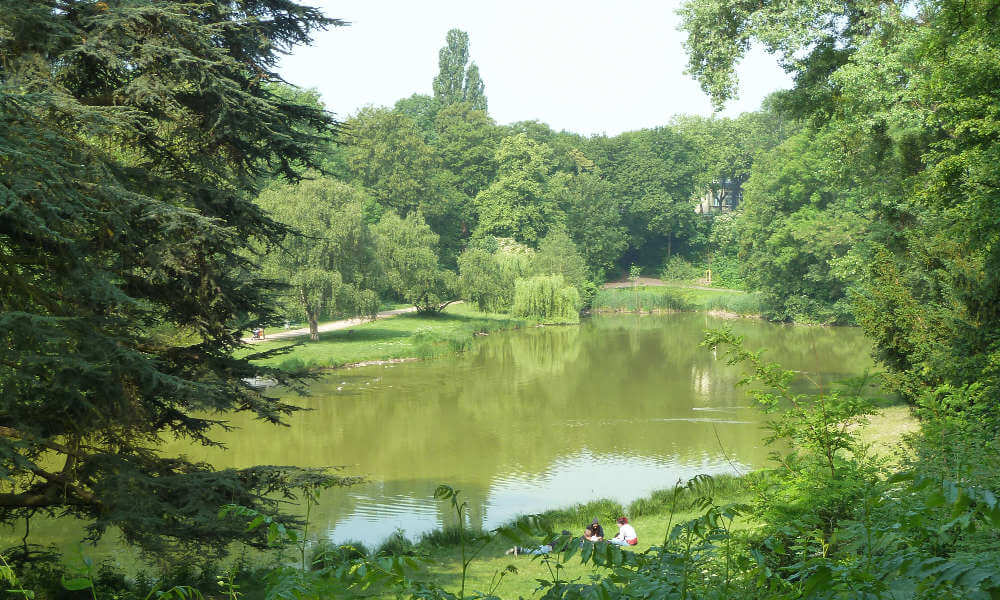 See im Klettenbergpark, umrahmt von Bäumen