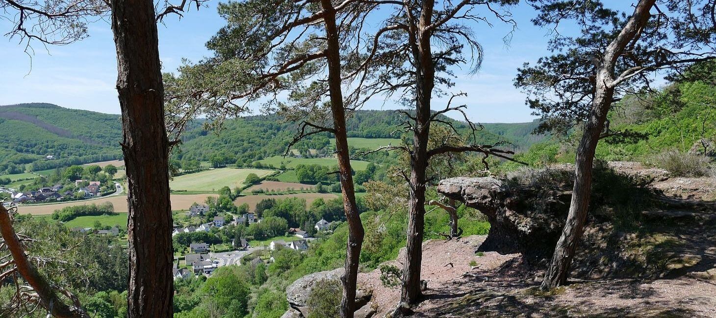 Blick vom Buntsandsteinfelsen ins Rurtal