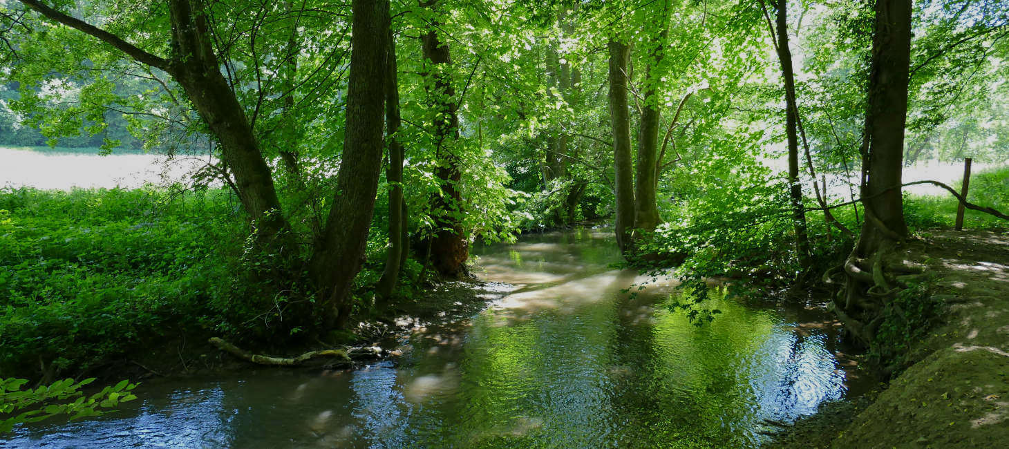 neandertal Bach durchs Neandertal