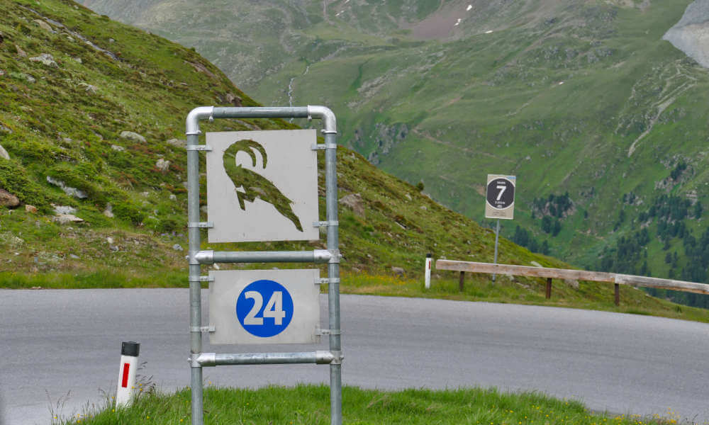 Schild mit Steinbock und Nummer 24 an einer Kehre auf der Kaunertaler Gletscherstraße